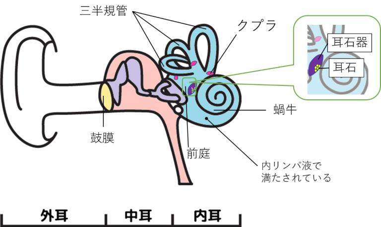 行政府とは何ですか (そしてその機能は何ですか)